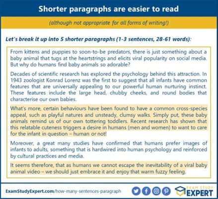 Essay How Many Sentences: The Countless Variables in Writing Length